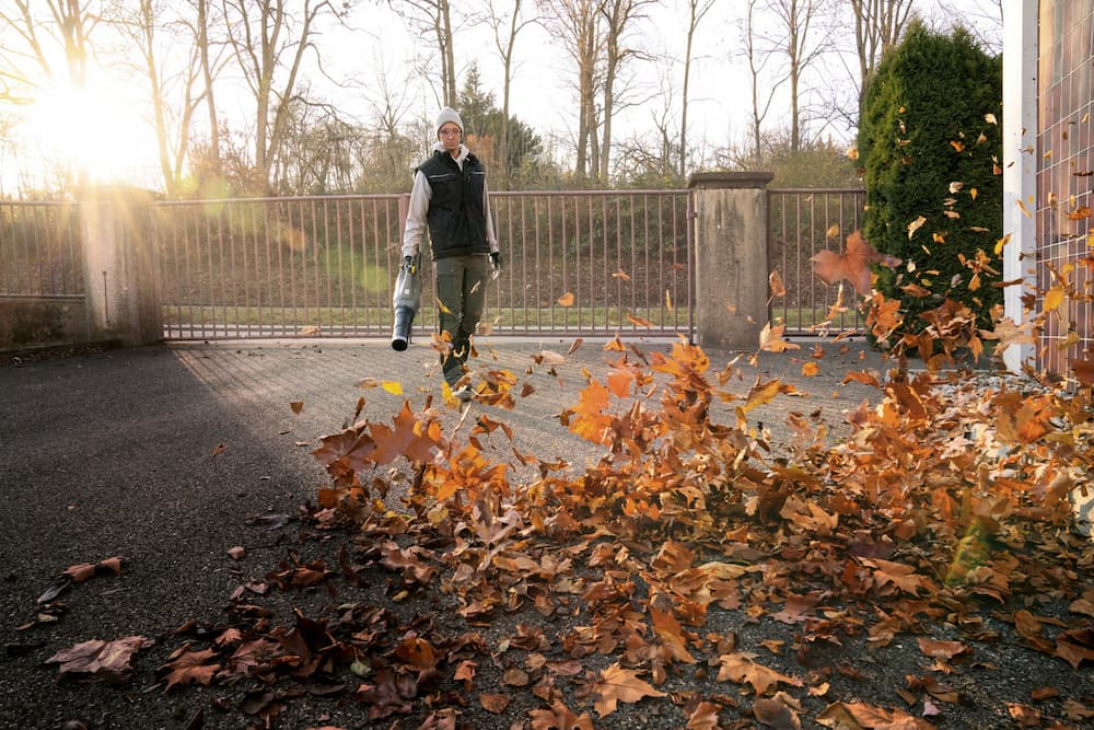 LB 930/36 Bp ბატარეაზე მომუშავე ჰაერის დამბერ-შემწოვი აპარატი - Image 2